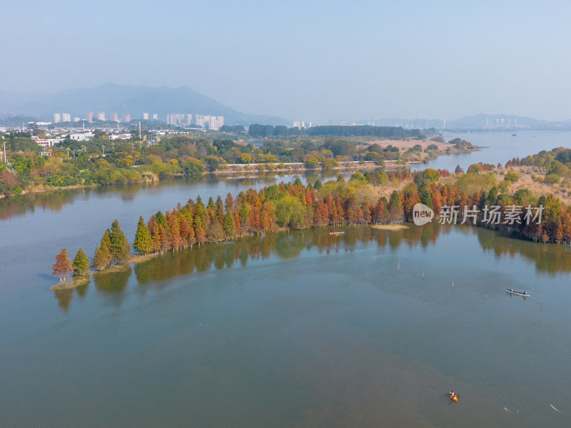 福州多彩树林沿水域分布的自然风景航拍