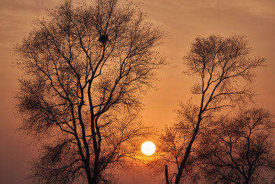 金色的夕阳