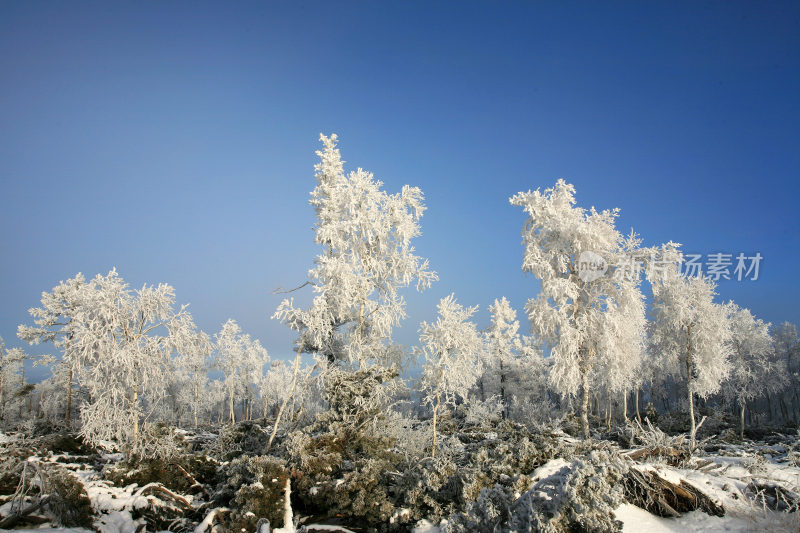 大兴安岭冬季林海雪原冰雪风光