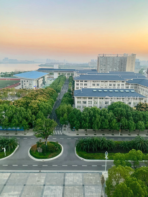 大学校园全景