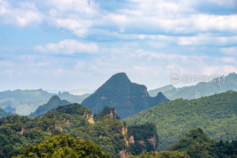 中国湖南张家界景区奇特山峰与茂密森林