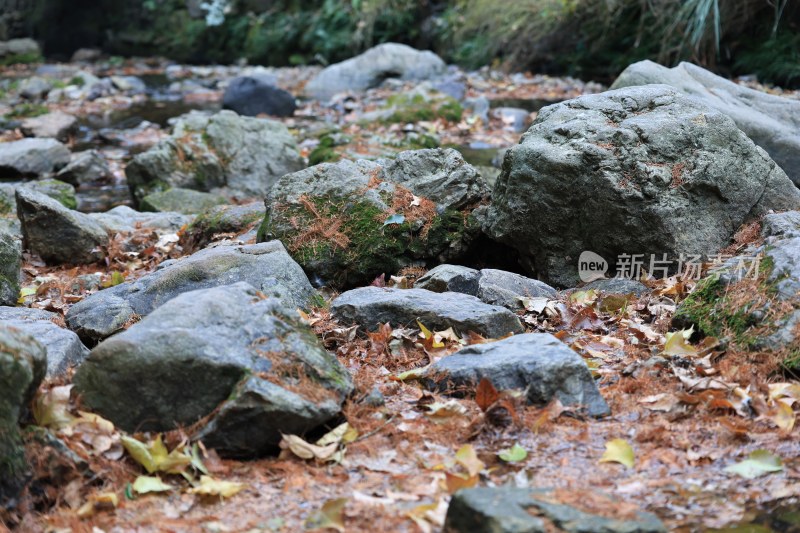 秋天的山谷岩石落叶