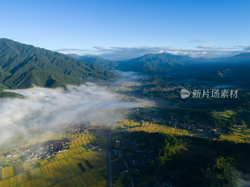 秋天云雾下的乡村大地 金黄稻田