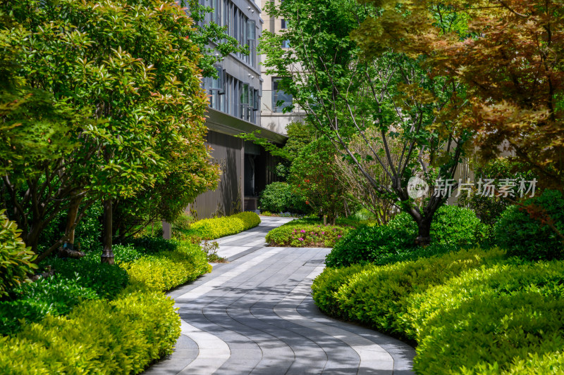 夏季白天商业住宅小区内部景观