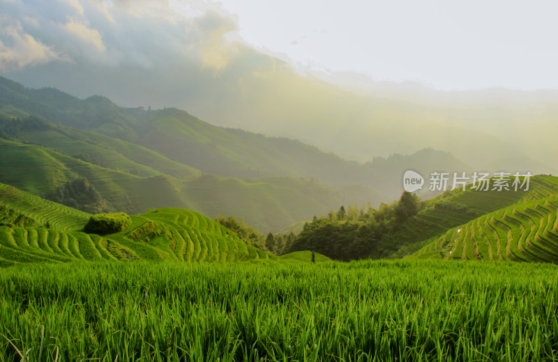 桂林龙脊梯田风光