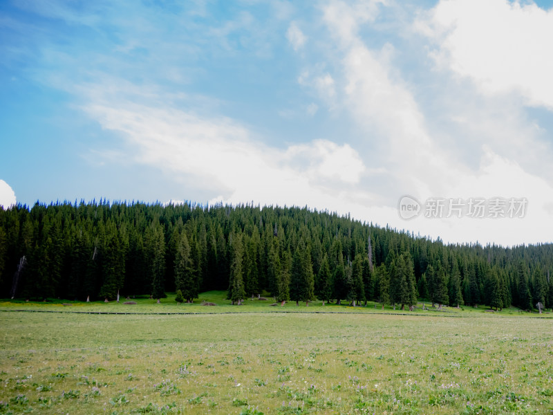 夏日，新疆赛里木湖国家级风景名胜区风光