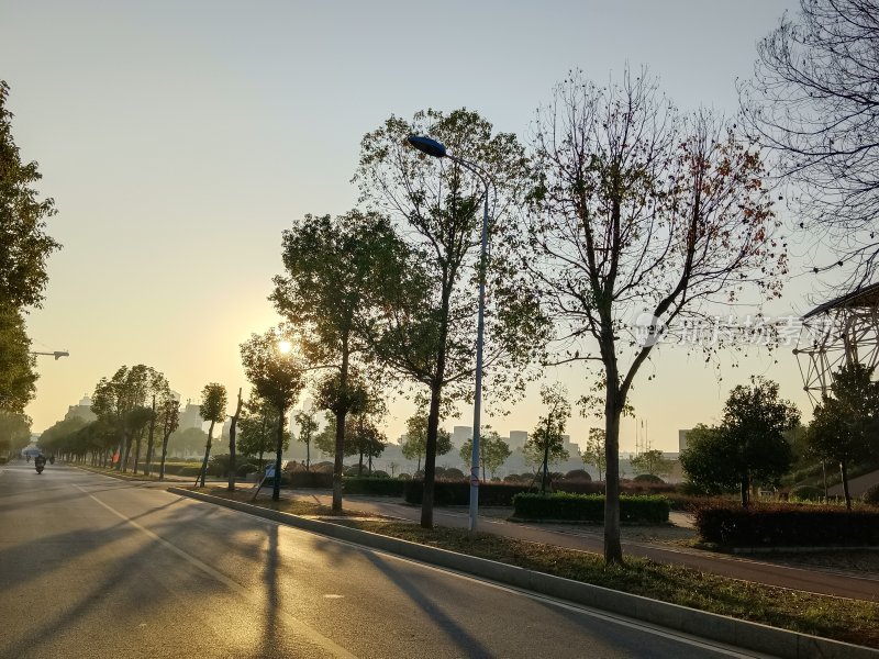 阳光洒在道路上