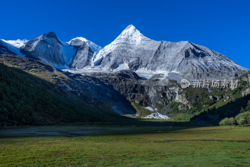 稻城亚丁雪山下的草地风景