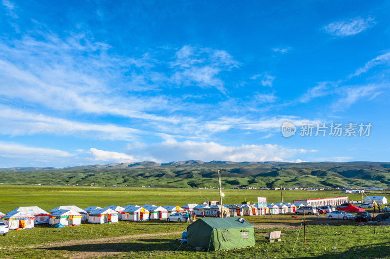 青海黑马河青海湖畔草原牧场夏日风光