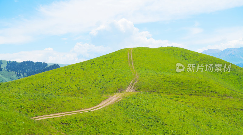 中国新疆伊犁那拉提草原自然风景