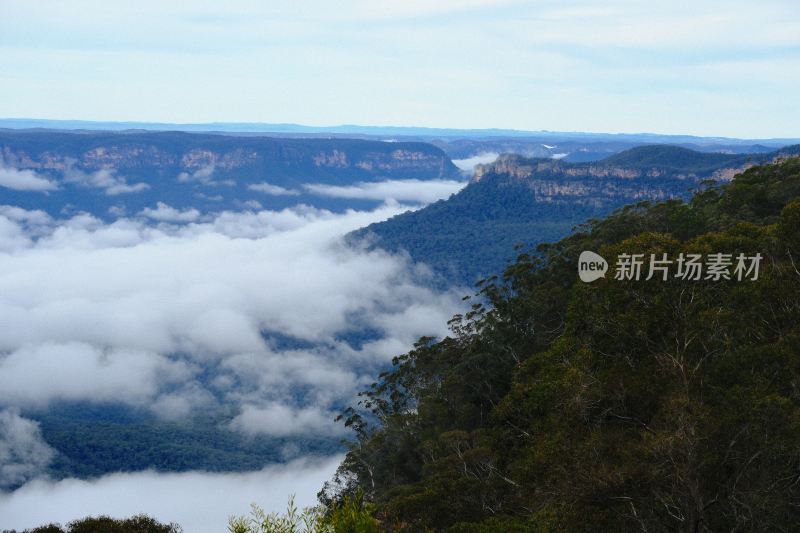 悉尼蓝山 (2)