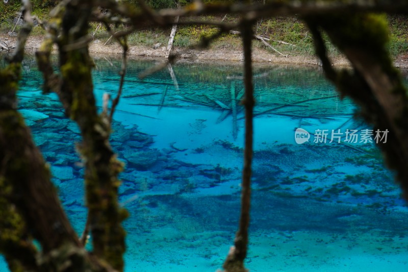 四川阿坝藏族羌族自治州九寨沟景区