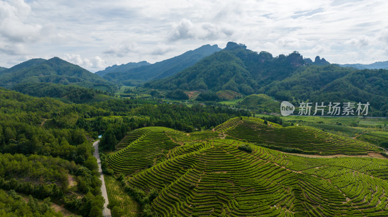 航拍武夷山绿色茶山茶园 优质大红袍产区