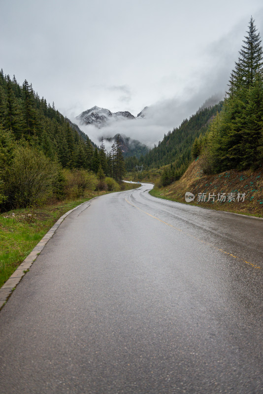 雪山森林里的公路