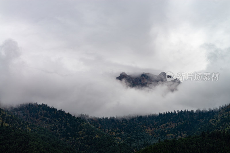 云雾中的森林山峰虎头山