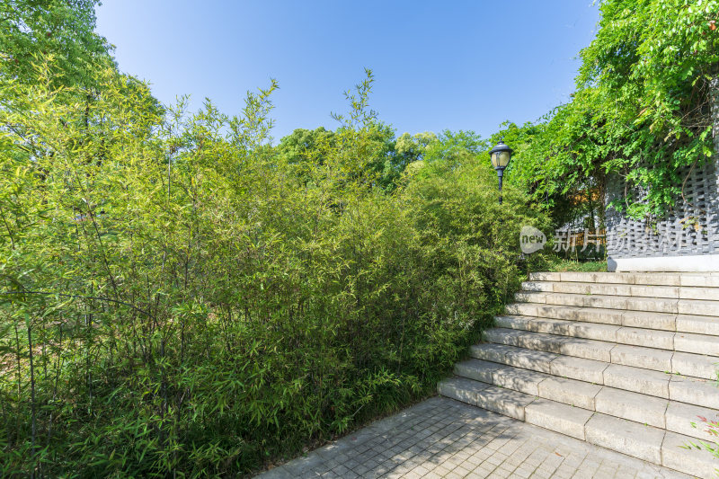 武汉洪山公园风景