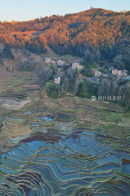 红河元阳梯田，灌水期，爱春蓝梯田