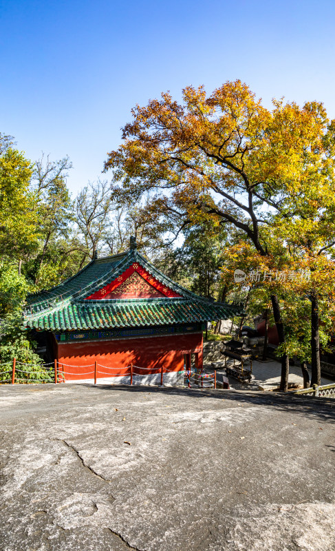 秋日中式古建筑与树林景致