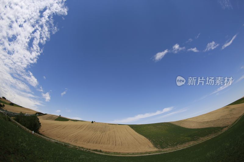 广阔田野风光全景图