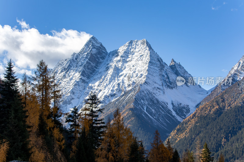 川西四姑娘山双桥沟景区雪山秋色