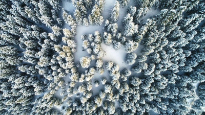 新疆阿勒泰喀纳斯冬季雪景