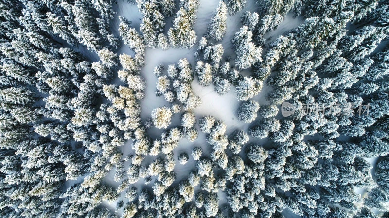 新疆阿勒泰喀纳斯冬季雪景