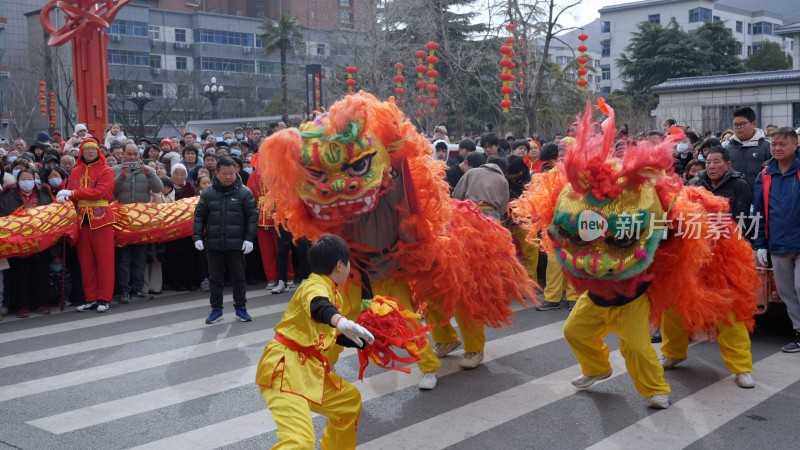 节日舞狮庆祝狮舞