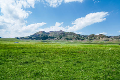 新疆内蒙大草原山脉自然风光