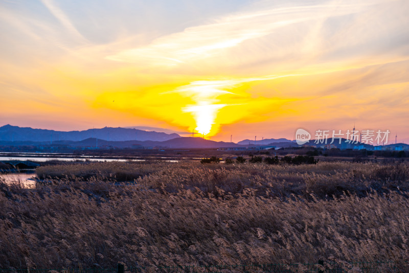 夕阳下的芦苇荡与远山景观