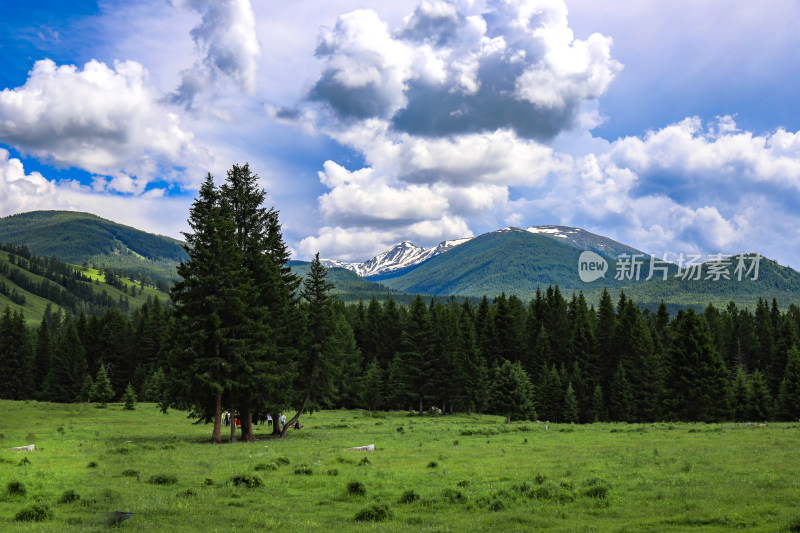 夏天新疆阿勒泰景色