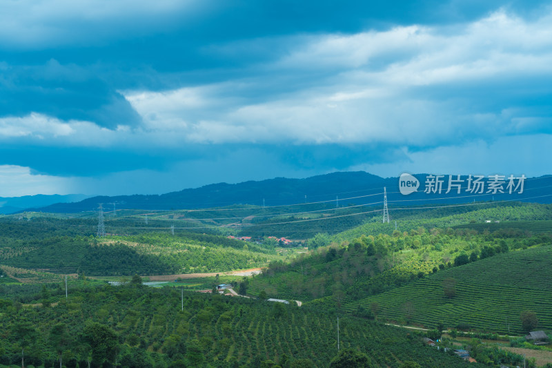 多云天气下的茶山