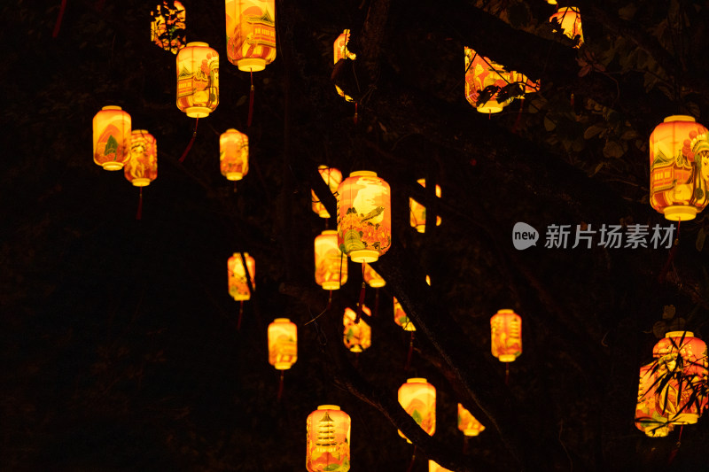 广东惠州西湖灯会上造型精致的花灯造型