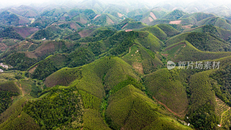 山 山脉 山峦 山峰