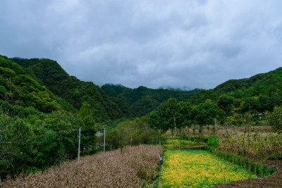 汉中留坝火烧店镇秦岭深处的山村田园风光