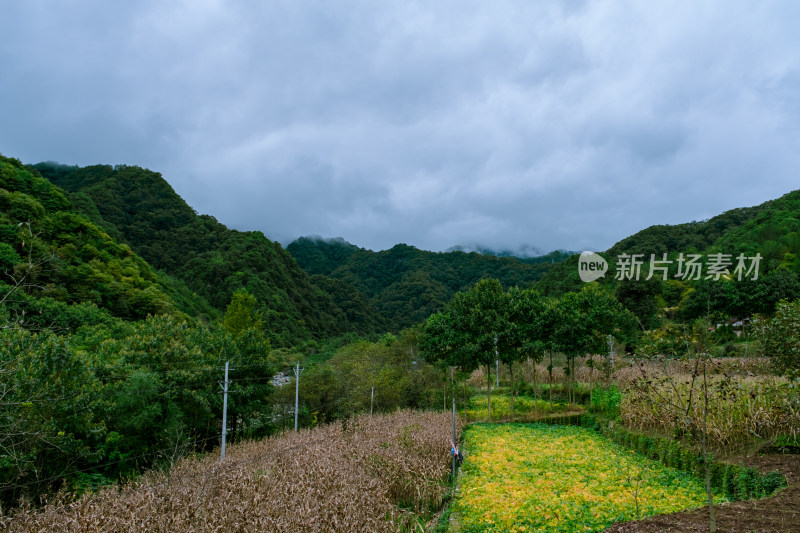 汉中留坝火烧店镇秦岭深处的山村田园风光