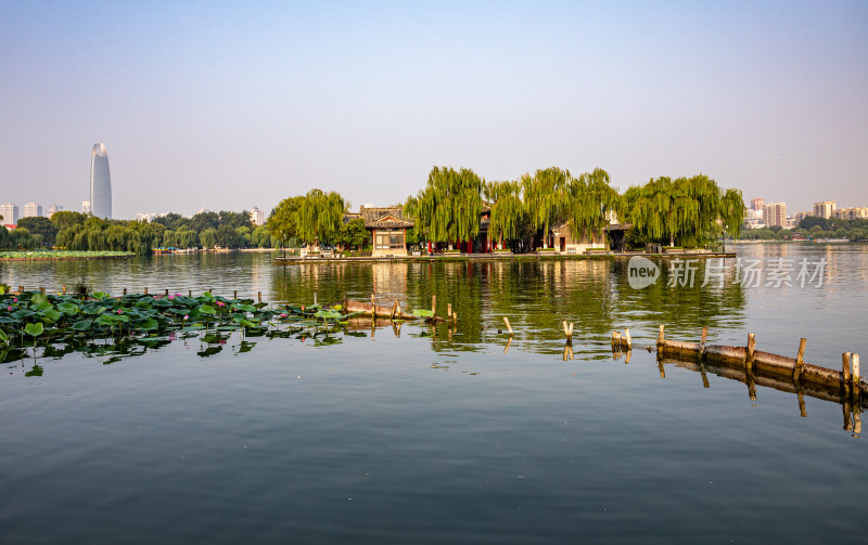 山东济南大明湖风景区自然景观与城市风光