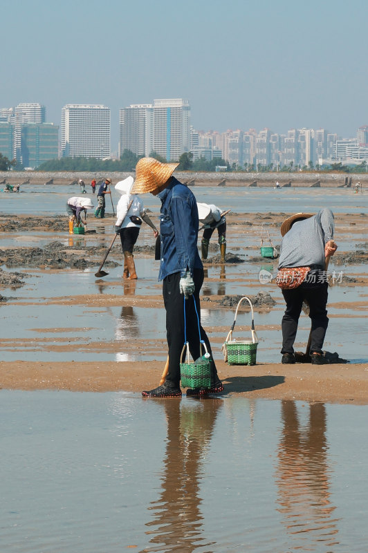 北海大潮的赶海者