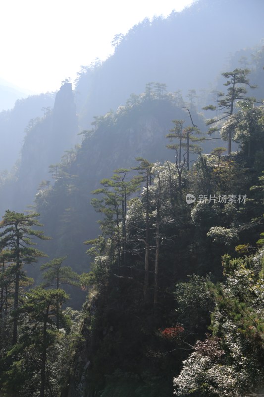 云雾缭绕的山峰