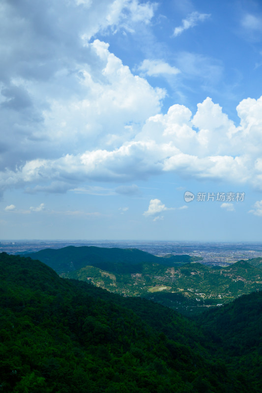 山中的风景