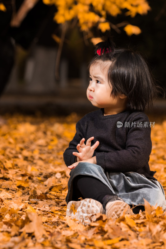 深秋坐在公园落满黄叶的草地上玩耍的女孩