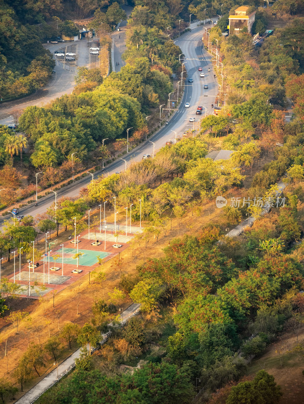 林间道路及运动场鸟瞰全景图