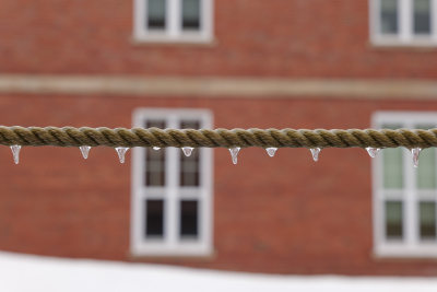 冻雨后冰冻的画面