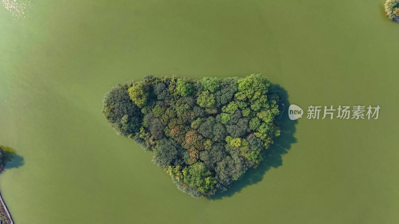 湖面岛屿风景航拍图