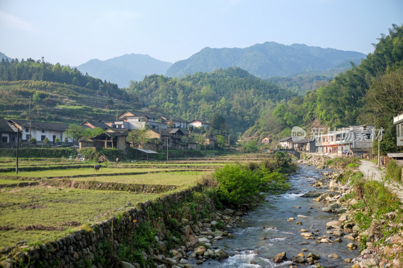 咸宁乡村风景