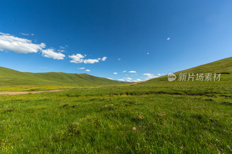 夏季高原草原草地湿地景观