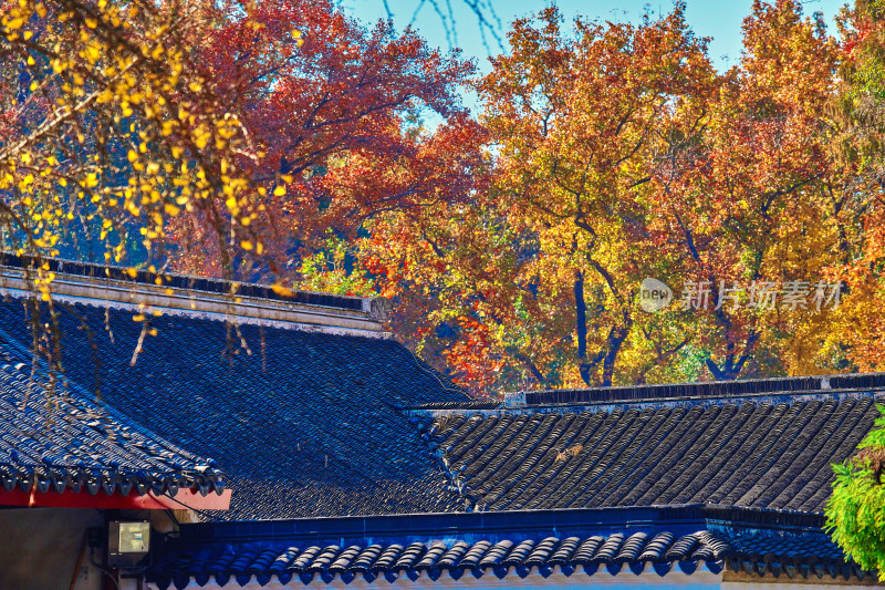 南京栖霞山栖霞寺