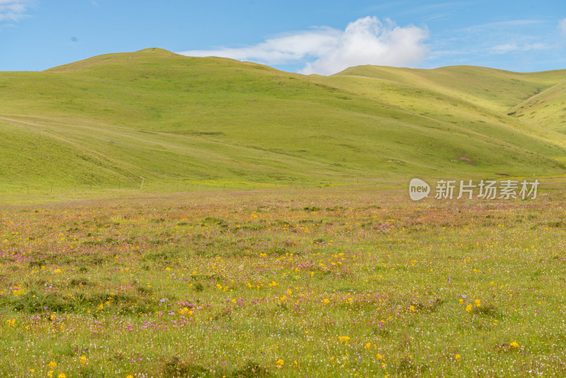 蓝天白云草原风景