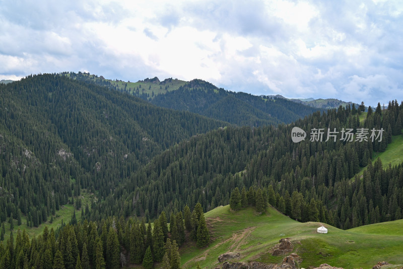 新疆木垒伴山公路 马圈湾的森林景色