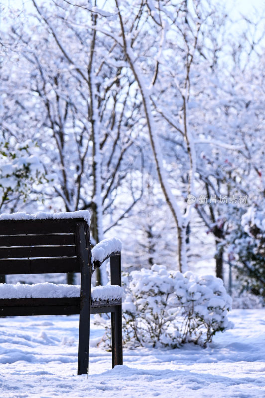 雪地中积雪覆盖的长椅