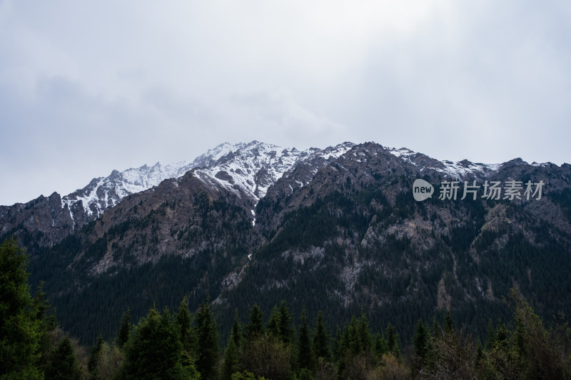 新疆伊犁夏塔雪山森林绝美风光